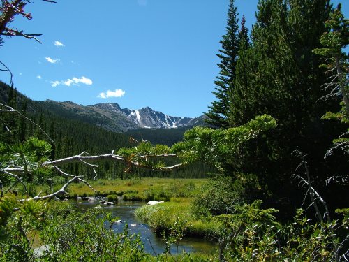 CirqueMeadowAug040083