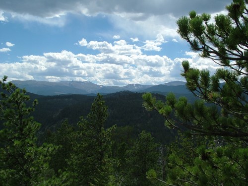 PingreeParkAug040025